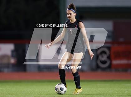 Thumbnail 1 in Birdville @ Argyle photogallery.