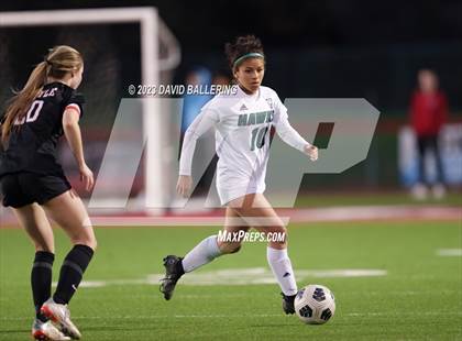 Thumbnail 3 in Birdville @ Argyle photogallery.