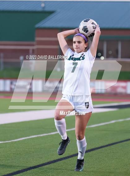 Thumbnail 2 in Birdville @ Argyle photogallery.