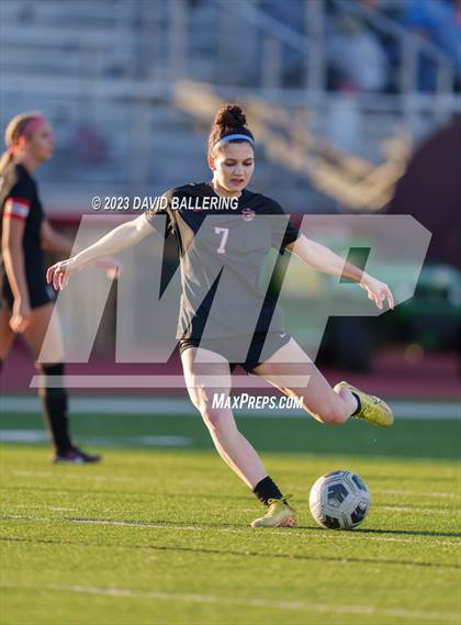 Thumbnail 2 in Birdville @ Argyle photogallery.