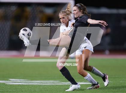 Thumbnail 1 in Birdville @ Argyle photogallery.