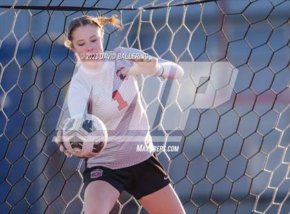 Thumbnail 2 in Birdville @ Argyle photogallery.