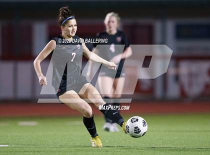 Thumbnail 3 in Birdville @ Argyle photogallery.