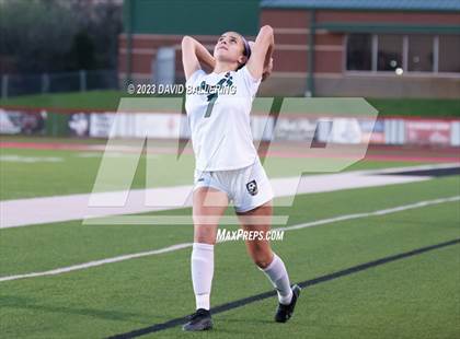 Thumbnail 3 in Birdville @ Argyle photogallery.