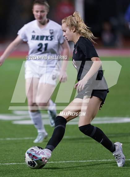 Thumbnail 3 in Birdville @ Argyle photogallery.