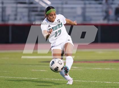 Thumbnail 1 in Birdville @ Argyle photogallery.