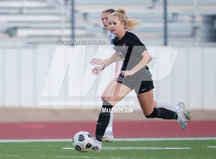 Thumbnail 3 in Birdville @ Argyle photogallery.
