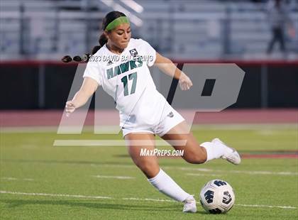 Thumbnail 2 in Birdville @ Argyle photogallery.