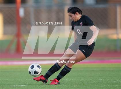 Thumbnail 1 in Birdville @ Argyle photogallery.