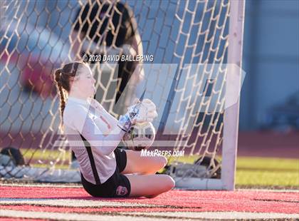 Thumbnail 3 in Birdville @ Argyle photogallery.