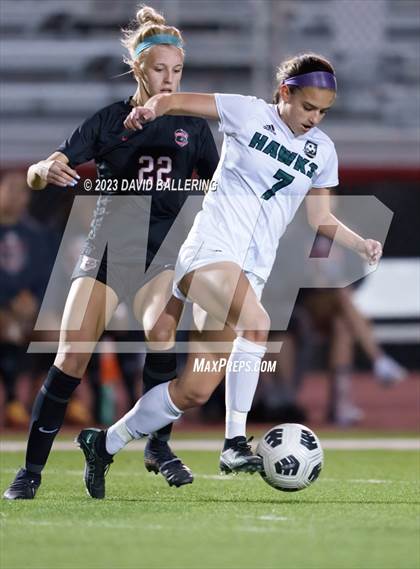 Thumbnail 1 in Birdville @ Argyle photogallery.