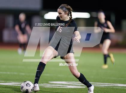 Thumbnail 3 in Birdville @ Argyle photogallery.