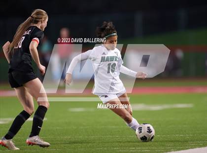 Thumbnail 2 in Birdville @ Argyle photogallery.