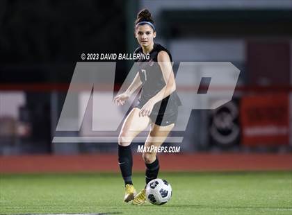 Thumbnail 2 in Birdville @ Argyle photogallery.