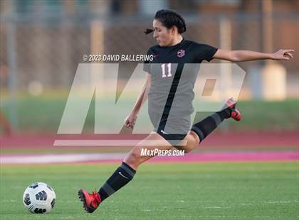Thumbnail 1 in Birdville @ Argyle photogallery.