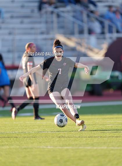 Thumbnail 1 in Birdville @ Argyle photogallery.