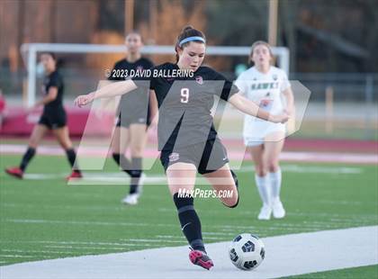 Thumbnail 2 in Birdville @ Argyle photogallery.