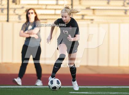 Thumbnail 2 in Birdville @ Argyle photogallery.