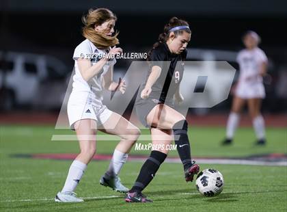 Thumbnail 2 in Birdville @ Argyle photogallery.