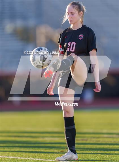 Thumbnail 3 in Birdville @ Argyle photogallery.