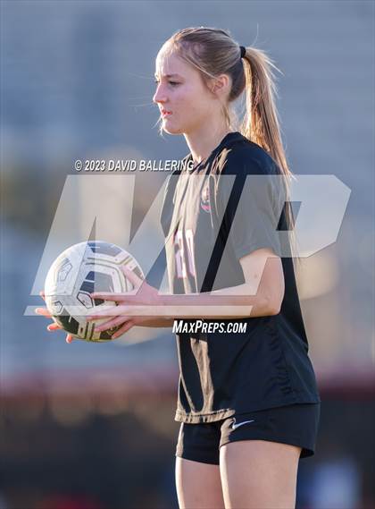 Thumbnail 3 in Birdville @ Argyle photogallery.