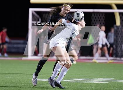 Thumbnail 2 in Birdville @ Argyle photogallery.