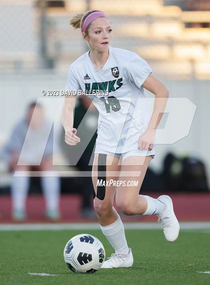 Thumbnail 3 in Birdville @ Argyle photogallery.