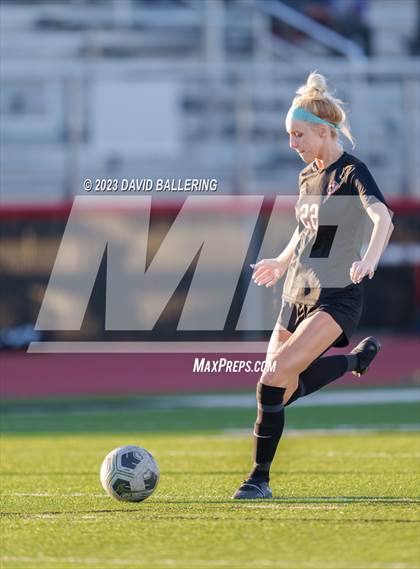Thumbnail 2 in Birdville @ Argyle photogallery.
