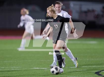 Thumbnail 3 in Birdville @ Argyle photogallery.