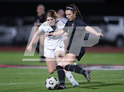 Thumbnail 1 in Birdville @ Argyle photogallery.