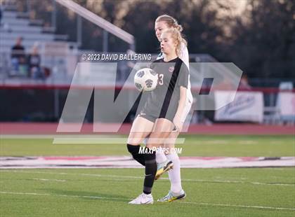 Thumbnail 2 in Birdville @ Argyle photogallery.