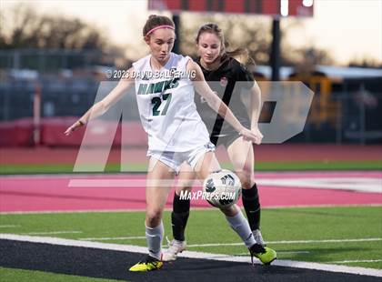 Thumbnail 3 in Birdville @ Argyle photogallery.