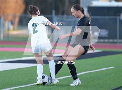 Thumbnail 1 in Birdville @ Argyle photogallery.