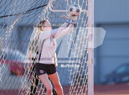 Thumbnail 2 in Birdville @ Argyle photogallery.