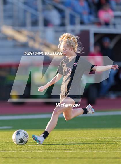 Thumbnail 3 in Birdville @ Argyle photogallery.