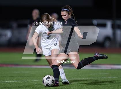 Thumbnail 3 in Birdville @ Argyle photogallery.