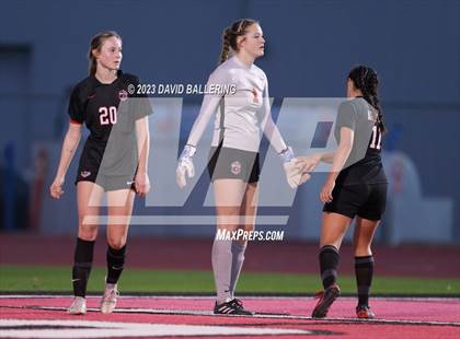 Thumbnail 1 in Birdville @ Argyle photogallery.