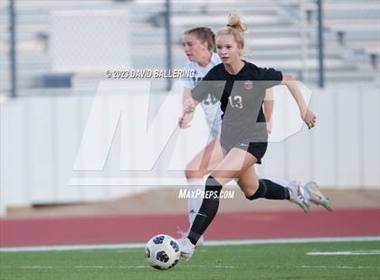 Thumbnail 1 in Birdville @ Argyle photogallery.