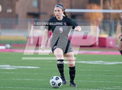 Thumbnail 3 in Birdville @ Argyle photogallery.