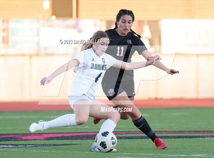 Thumbnail 3 in Birdville @ Argyle photogallery.