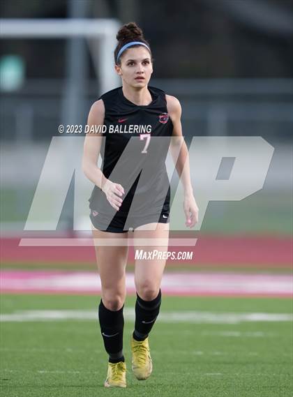 Thumbnail 2 in Birdville @ Argyle photogallery.