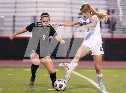 Thumbnail 1 in Birdville @ Argyle photogallery.