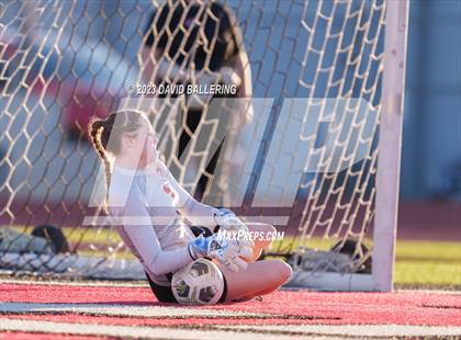 Thumbnail 1 in Birdville @ Argyle photogallery.