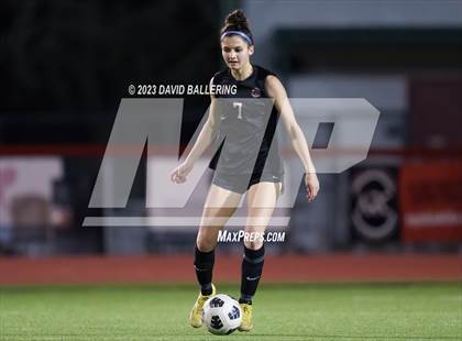 Thumbnail 1 in Birdville @ Argyle photogallery.