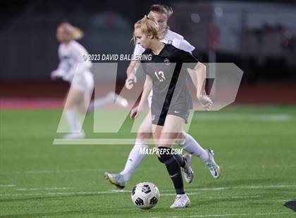 Thumbnail 1 in Birdville @ Argyle photogallery.