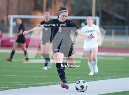 Thumbnail 1 in Birdville @ Argyle photogallery.