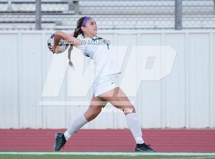 Thumbnail 1 in Birdville @ Argyle photogallery.