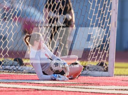 Thumbnail 2 in Birdville @ Argyle photogallery.
