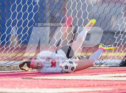 Thumbnail 3 in Birdville @ Argyle photogallery.