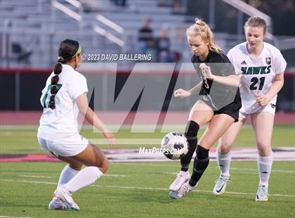 Thumbnail 1 in Birdville @ Argyle photogallery.